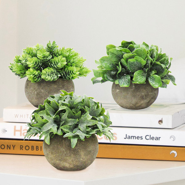 Laurel Foundry Modern Farmhouse 5" Artificial Mixed Greenery Topiary Small Plant in Pot